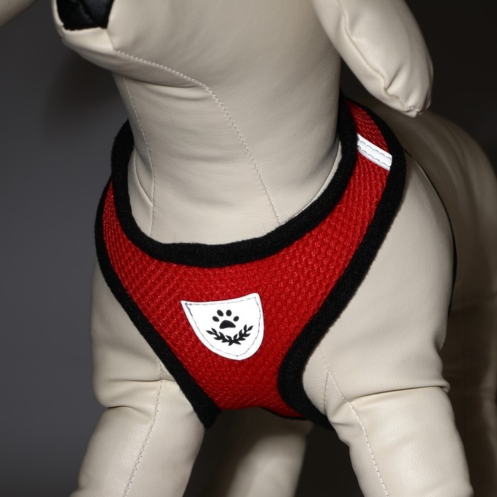 Комплект амуниции с мягкой шлейкой и светоотражающей нашивкой, XL, ОШ 40 см, ОГ 46-60 см, красный 76 Комплект амуниции с мягкой шлейкой и светоотражающей нашивкой, XL, ОШ 40 см, ОГ 46-60 см, красный 76