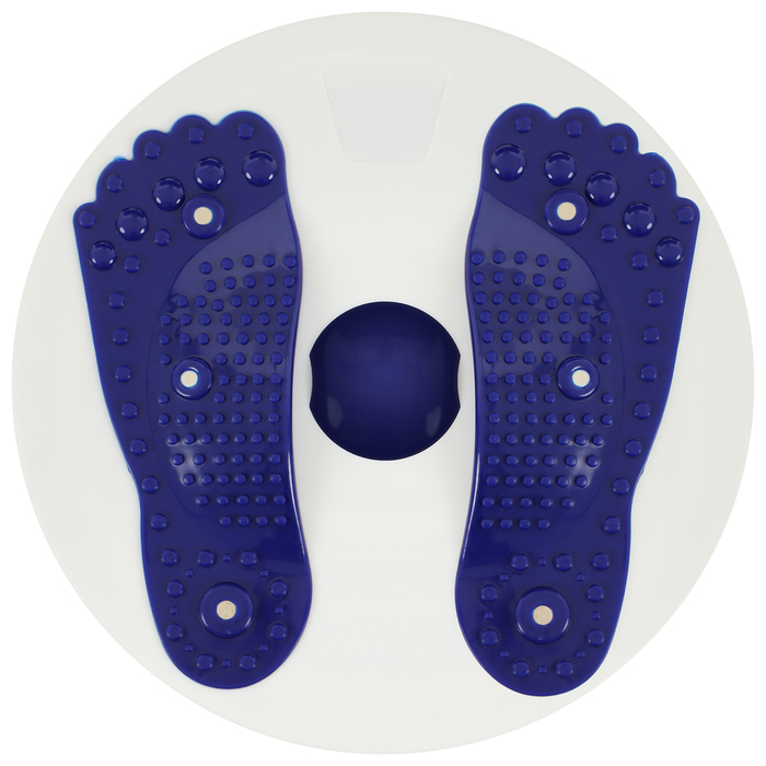 Диск здоровья, с магнитными вставками, d=27 см, цвета МИКС Диск здоровья, с магнитными вставками, d=27 см, цвета МИКС