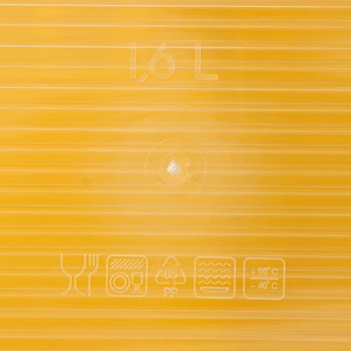 Набор пищевых контейнеров «BioFresh», 3 шт: 500 мл, 1 л, 1.6 л, цвет прозрачный, крышки МИКС