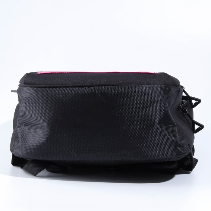 Рюкзак школьный, эргономичная спинка «1 сентября: Girl» 39x32x14 см Рюкзак школьный, эргономичная спинка «1 сентября: Girl» 39x32x14 см