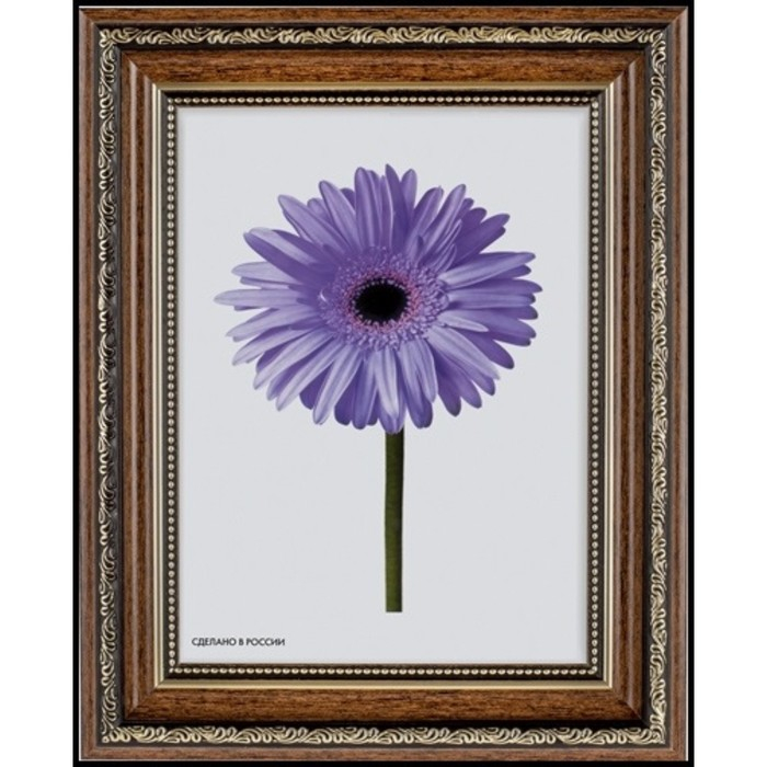 Рама для картин (зеркал) 40 х 50 х 3,3 см, пластиковая, Dorothy, коричневая Рама для картин (зеркал) 40 х 50 х 3,3 см, пластиковая, Dorothy, коричневая