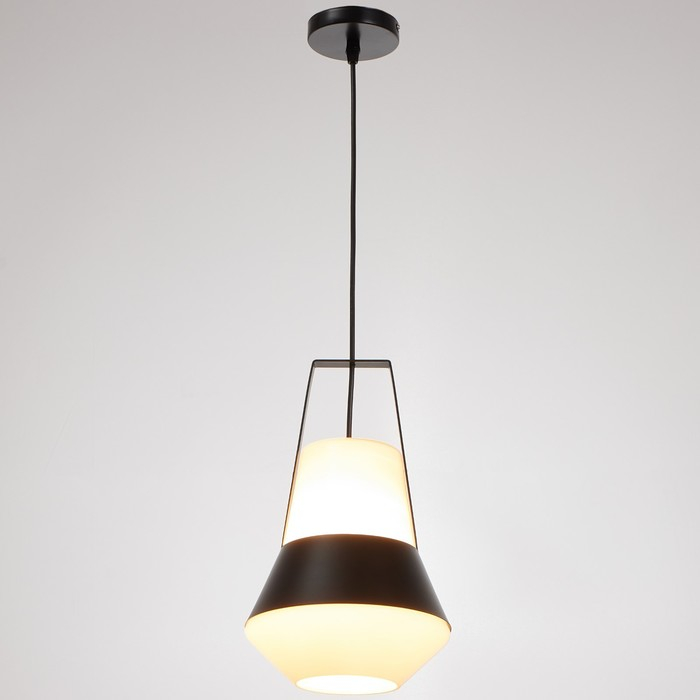 Светильник BayerLux 1653/1BK E27 40Вт черный 25х26х40-135 см