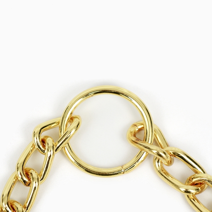 Ошейник - полуудавка металлический двухрядный, 40 см, толщина проволоки 2 мм, золотистый Ошейник - полуудавка металлический двухрядный, 40 см, толщина проволоки 2 мм, золотистый