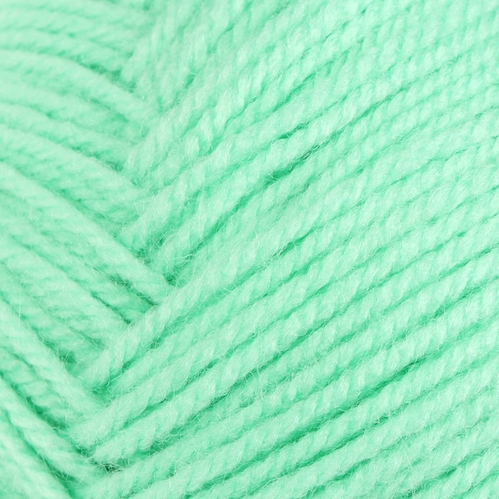 Пряжа Пряжа "Детская новинка" 100% акрил 200м/50гр (171-Весна)