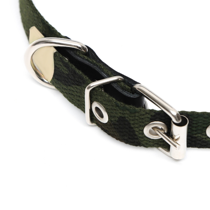 Ошейник брезентовый однослойный Ошейник брезентовый однослойный "Камуфляж", 50 х 2 см, ОШ 25-35 см