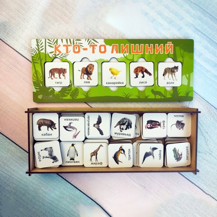 Игра на логику «Кто-то лишний» Игра на логику «Кто-то лишний»