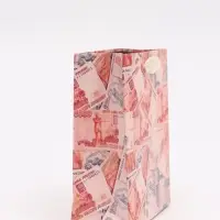 Пакет подарочный «Деньги», S 12 × 15 × 5,5 см Пакет подарочный «Деньги», S 12 × 15 × 5,5 см