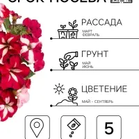 Семена цветов Петуния &laquo;Арлекин&raquo; F1, бургунди, крупноцветковая, драже, С. Farao, 5 шт.