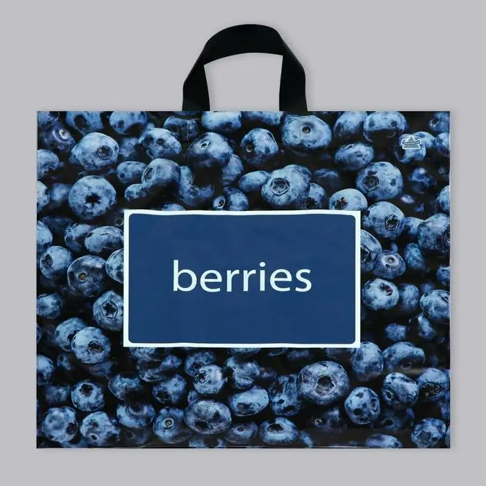 Пакет «Черника», полиэтиленовый с петлевой ручкой, 44×42 см, 70 мкм Пакет «Черника», полиэтиленовый с петлевой ручкой, 44×42 см, 70 мкм