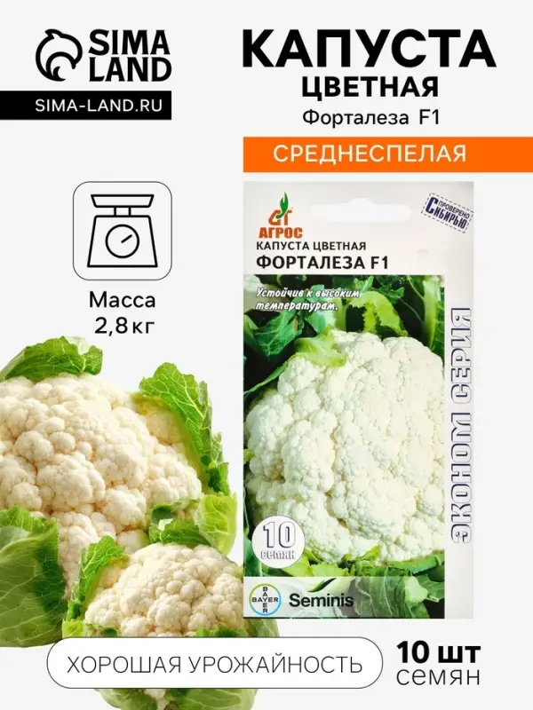 Семена Капуста цветная, &laquo;Форталеза&raquo;, F1, 10 шт., Seminis, &laquo;Агрос&raquo;