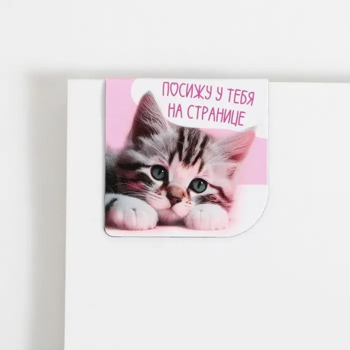 Закладки магнитные для книг, 2 шт &laquo;Котики&raquo;
