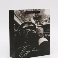 Пакет подарочный «Поздравляю», M 25,5 × 30 × 9 см Пакет подарочный «Поздравляю», M 25,5 × 30 × 9 см