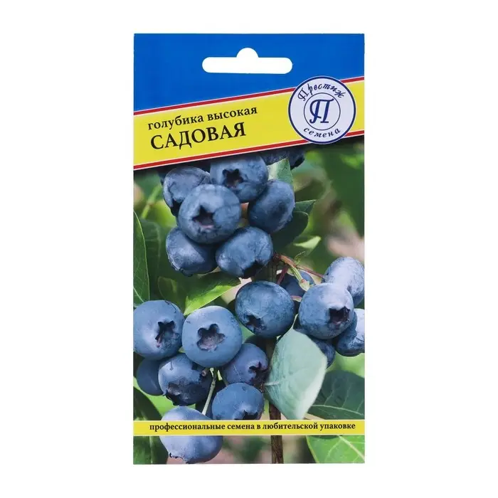 Семена Голубика  Семена Голубика "Садовая", 0,05 гр