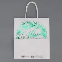 Пакет подарочный новогодний крафтовый «Тепла и уюта», 22 х 25 х 12 см Пакет подарочный новогодний крафтовый «Тепла и уюта», 22 х 25 х 12 см