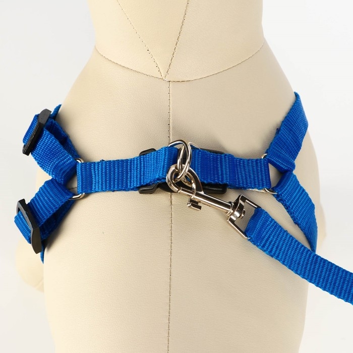 Комплект Комплект "Базис", поводок 120 х 1,5 см, шлейка 32-46 х 1,5 см, синий