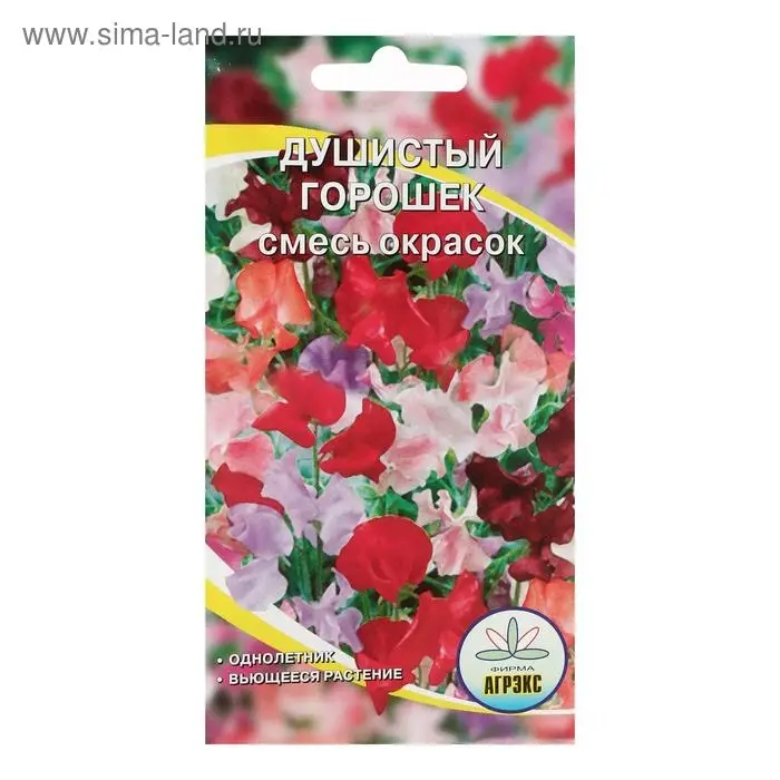 Семена цветов однолетние Душистый горошек 10 шт Семена цветов однолетние Душистый горошек 10 шт