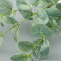 Цветы искусственные «Эвкалипт шёлковый», h=80 см, зелёные Цветы искусственные «Эвкалипт шёлковый», h=80 см, зелёные