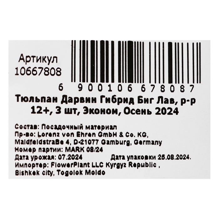 Тюльпан Дарвин Гибрид Биг Лав, р-р 12+, 3 шт, Эконом, Осень 2024 Тюльпан Дарвин Гибрид Биг Лав, р-р 12+, 3 шт, Эконом, Осень 2024
