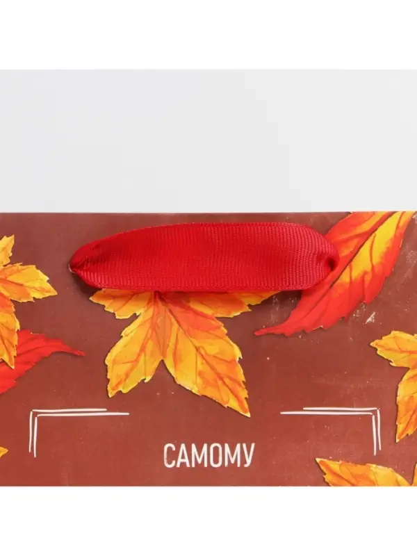 Пакет подарочный ламинированный, упаковка, «Классному учителю», MS 18 х 23 х 10 см Пакет подарочный ламинированный, упаковка, «Классному учителю», MS 18 х 23 х 10 см