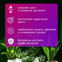 Фитосветильник для растений, светодиодный, 9 Вт, 250 мм, IP66, 5 В, USB, прищепка, таймер, биколорный