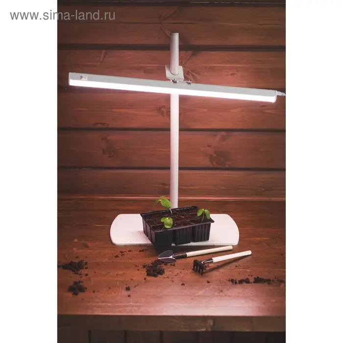 Кассета для рассады, 9 ячеек по 80 мл, пластик, чёрная, 18&times;13&times;6 см, Greengo