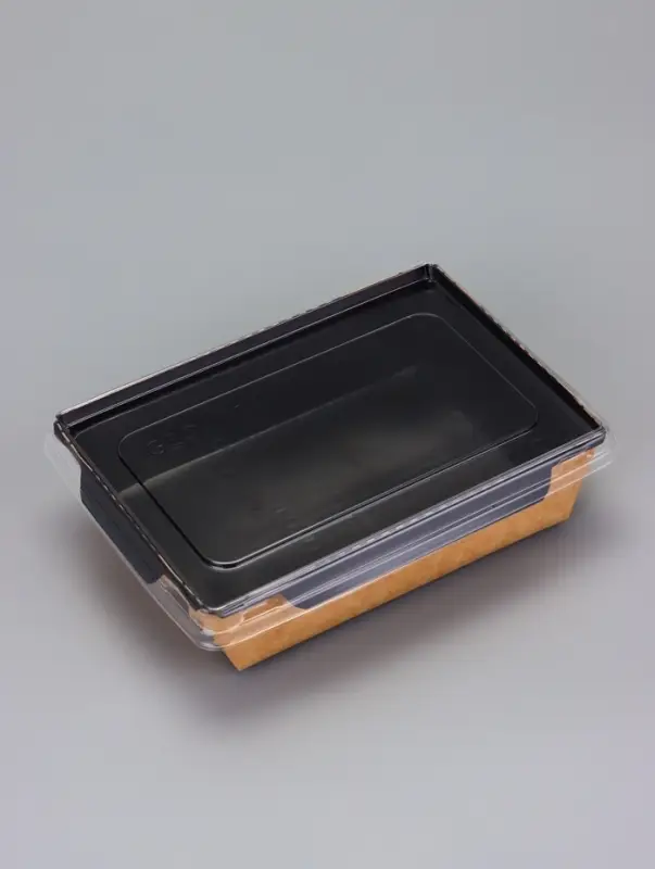 Контейнер с плоской крышкой, черный, 0,5 л, 16 х 12 х 4,5 см Контейнер с плоской крышкой, черный, 0,5 л, 16 х 12 х 4,5 см