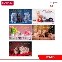 АЛЬБОМ для рисования  12л А4ф на скобе  Обл. мел.картон серия -Мы любим котиков-