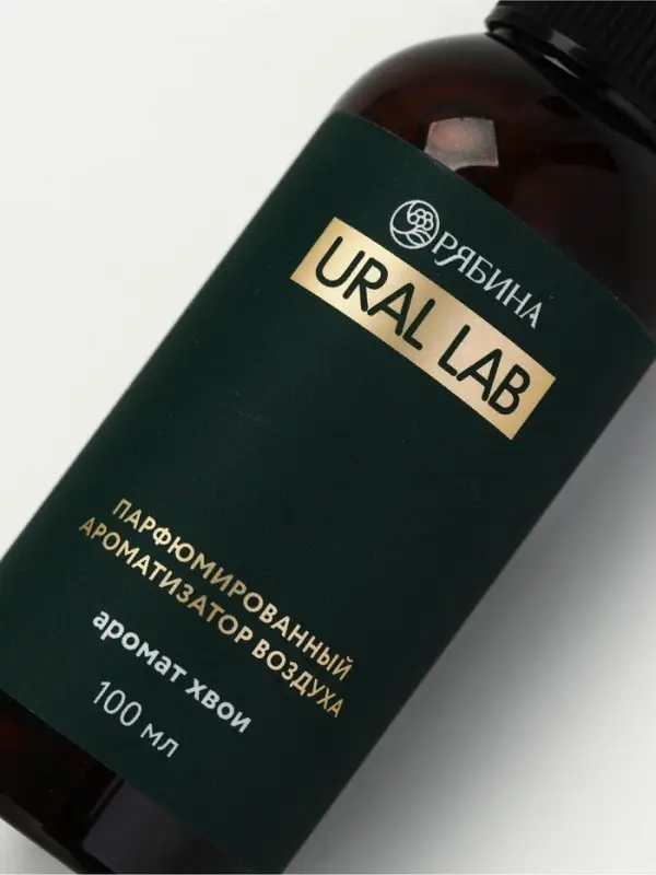 Спрей парфюмированный для дома, ароматизатор воздуха, аромат хвоя, 100 мл, URAL LAB