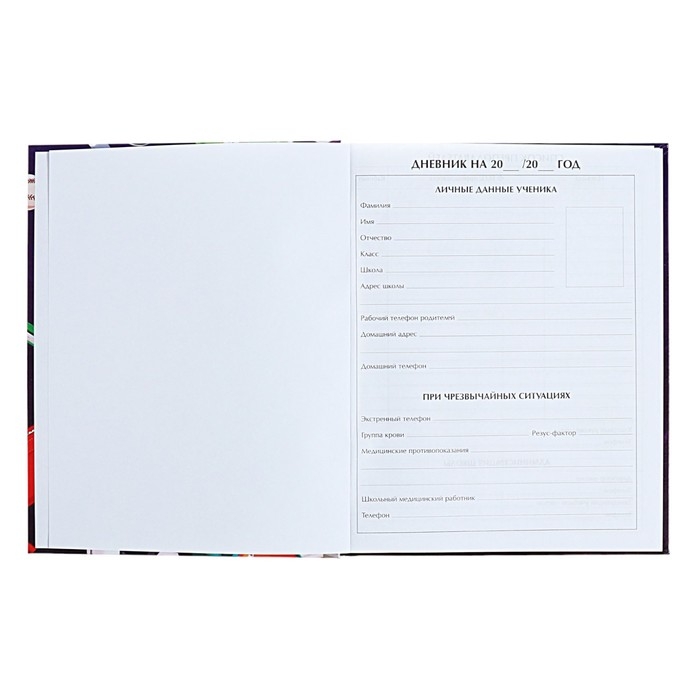 Дневник для 1-4 классов "Снова в школу. Коллаж", твёрдая обложка, глянцевая ламинация, 48 листов