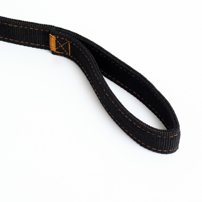 Поводок двухслойный с усиленным карабином, 3 м х 3 см, чёрный Поводок двухслойный с усиленным карабином, 3 м х 3 см, чёрный