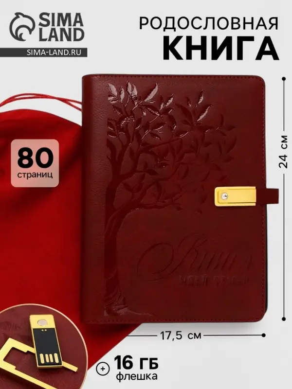 Родословная книга со встроенной флешкой 16 Gb &laquo;Книга всей семьи&raquo;, 17.5&times;23 см