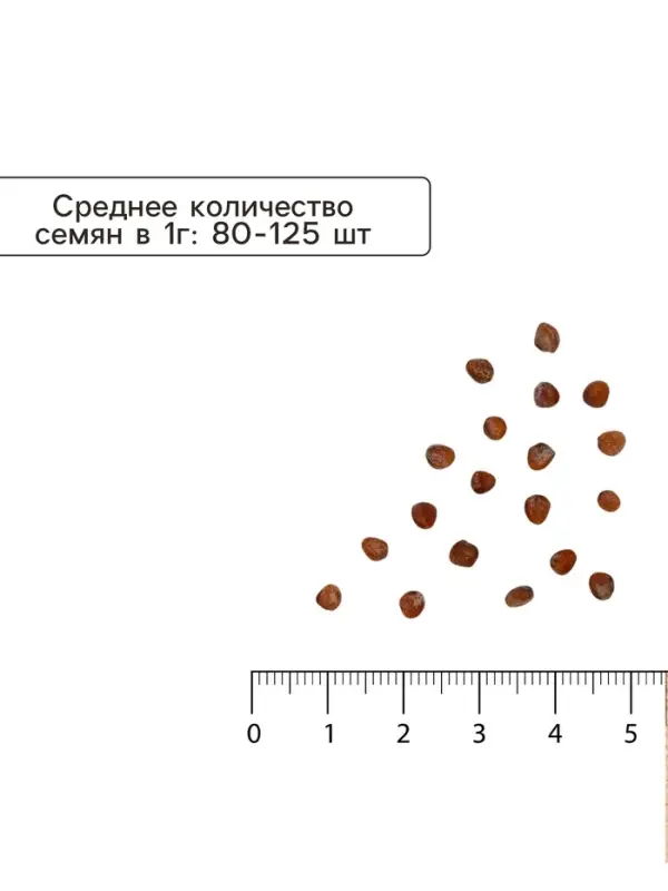Семена Редис &laquo;Ризенбуттер&raquo;, 2 г