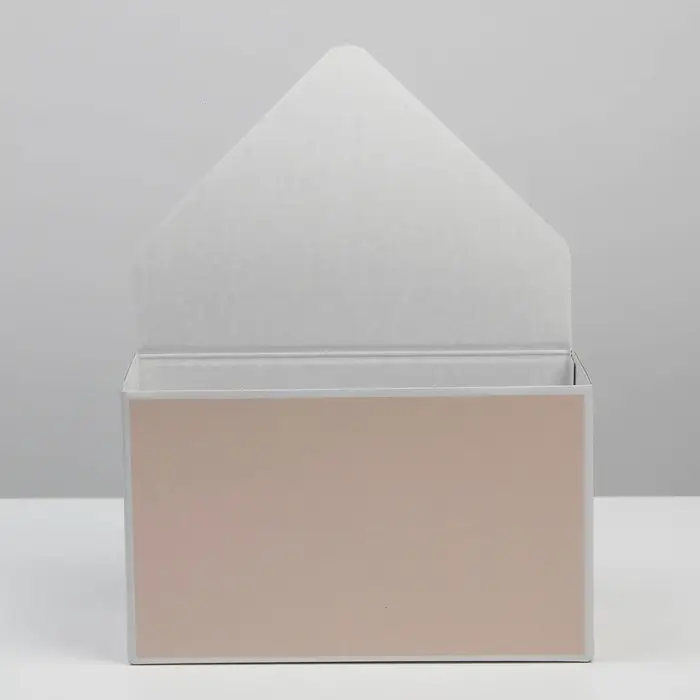 Коробка-письмо «Персиковая», 25 × 33 × 10 см Коробка-письмо «Персиковая», 25 × 33 × 10 см