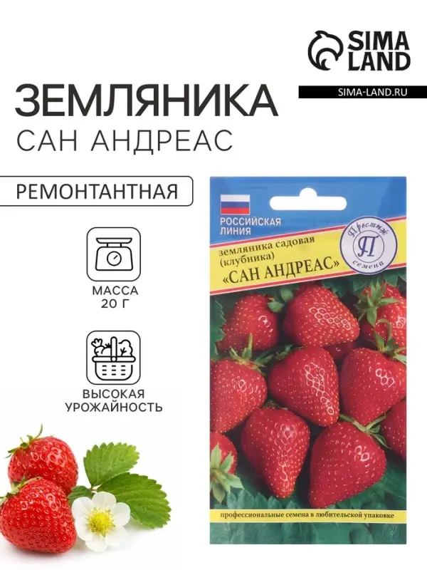 Семена Земляника ремонтантная &laquo;Сан Андреас&raquo;, 0.01 г, &laquo;Престиж семена&raquo;