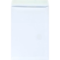 Пакет Белый B4стрип Businesspack250х353 120г 200шт/уп/5021