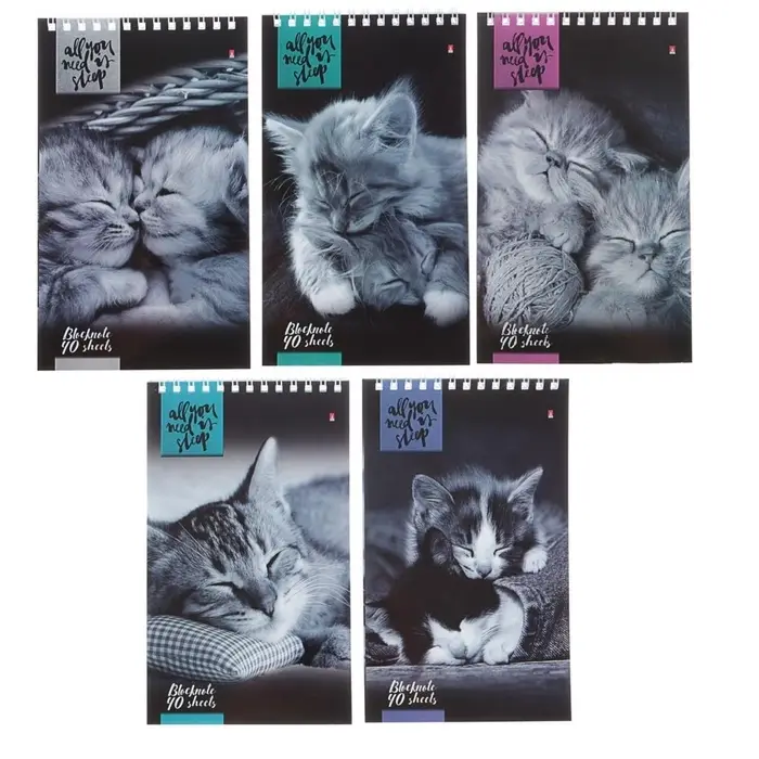 Блокнот &laquo;Альт. Кошки&raquo;, А5, 40 листов, на гребне, МИКС