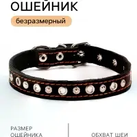 Ошейник украшенный, безразмерный, 47&times;2 см, ОШ 28-39 см, на синтепоне, кожа, чёрный