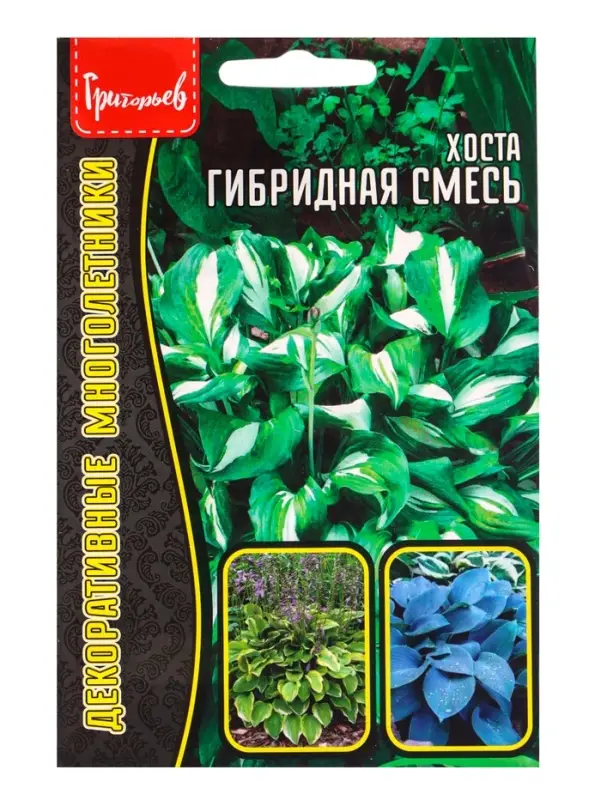 Семена цветов Хоста Гибридная Смесь 0,02 г.  12.29 г.