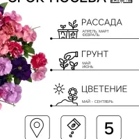 Семена цветов Петуния &laquo;Дуо&raquo;, смесь сортов, F1, 5 шт., PanAmerican, &laquo;АЭЛИТА&raquo;