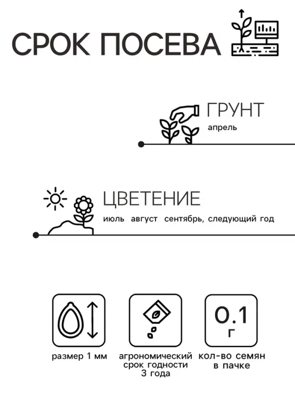 Семена  цветов Хризантема "Ариэль", Мн, 0,1 г