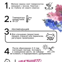 Семена цветов Дельфиниум "Махровый", ц/п,  0,05 г