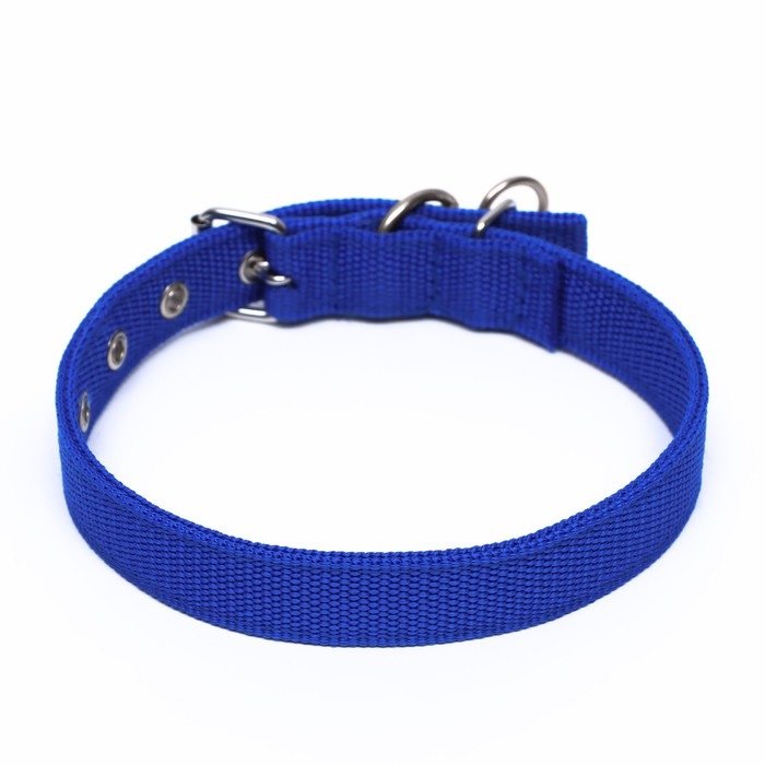 Ошейник двухслойный с вертлюгом, 55 х 2,5 см, полиэстер, синий Ошейник двухслойный с вертлюгом, 55 х 2,5 см, полиэстер, синий