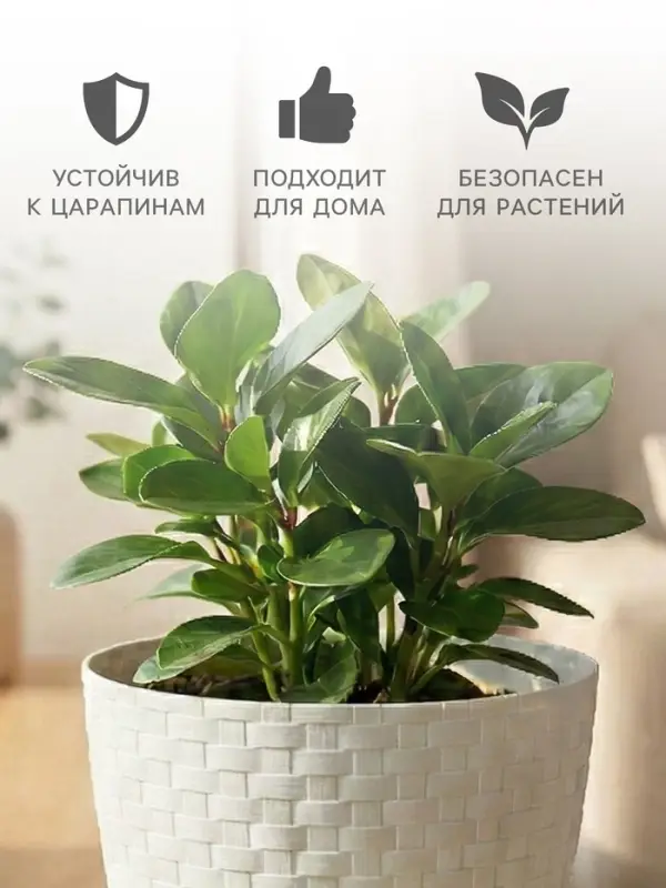 Горшок для цветов с поддоном &laquo;Ротанг&raquo;, 3 л, d=17 см, h=17 см, пластиковый, белый