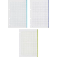 Сменный блок для тетрадей на кольцах, BeSmart А5 120л клетка Цветной N001d