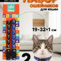 Набор ошейников для кошек &laquo;Пижон. Ночь&raquo;, 19-32&times;1 см, 2 шт.