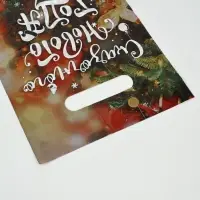 Подарочные пакеты, полиэтилен, набор 10 шт «Праздник рядом» Подарочные пакеты, полиэтилен, набор 10 шт «Праздник рядом»