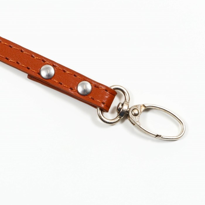 Поводок  Поводок "Основа" 120 х 1 см, коричневый