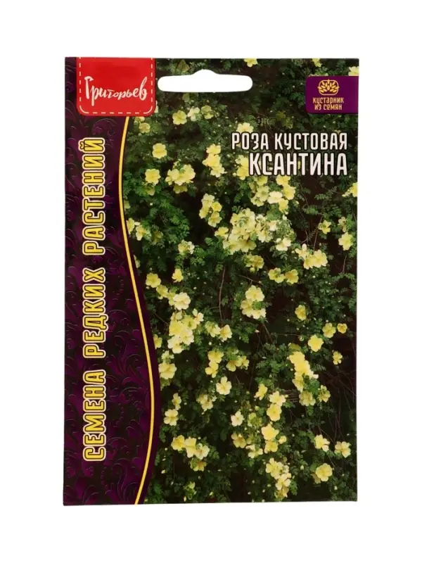 Семена цветов Роза Ксантина кустовая 10 шт.  12.29 г.