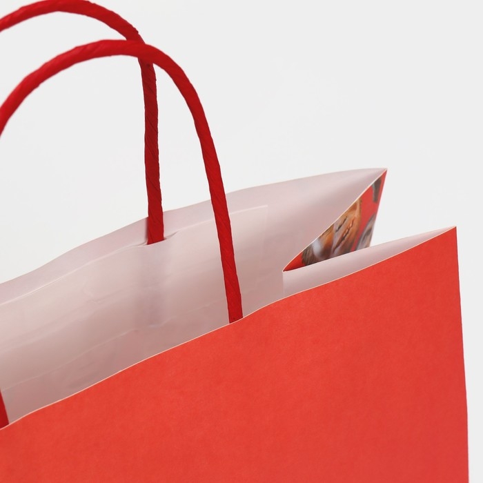 Пакет подарочный, упаковка, «Обезьяна», 22 х 22 х 11 см Пакет подарочный, упаковка, «Обезьяна», 22 х 22 х 11 см