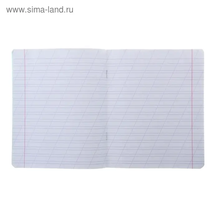 Тетрадь 12 листов в косую линейку «Зелёная обложка», термоупаковка 25 шт.